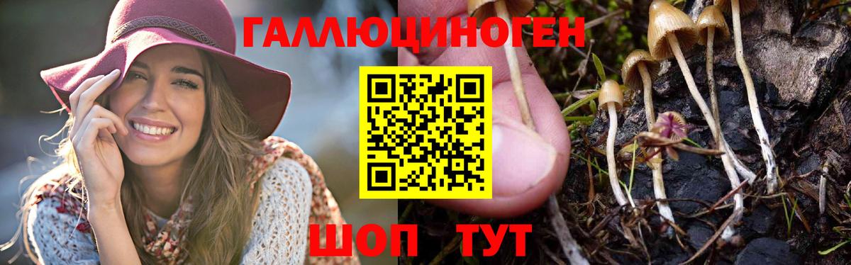 Галлюциногенные грибы ЛСД Алушта