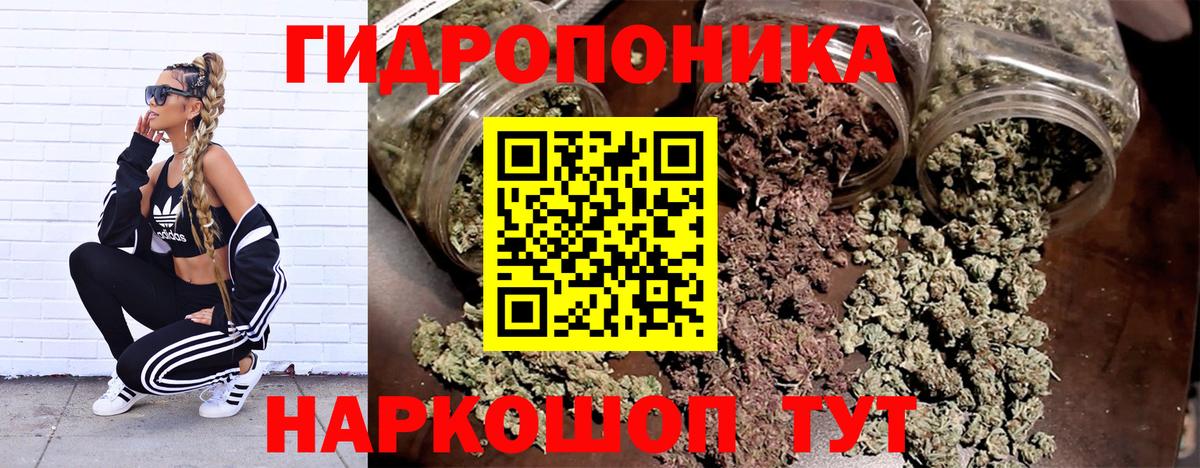 Шишки марихуана White Widow Алушта